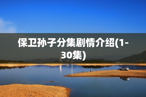 保卫孙子分集剧情介绍(1-30集)