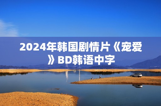 2024年韩国剧情片《宠爱》BD韩语中字