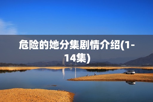 危险的她分集剧情介绍(1-14集)