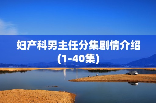 妇产科男主任分集剧情介绍(1-40集)