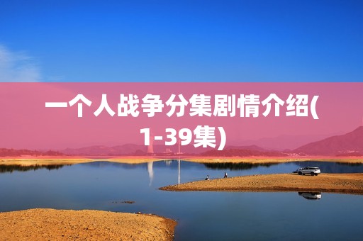 一个人战争分集剧情介绍(1-39集)