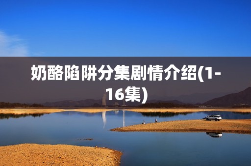 奶酪陷阱分集剧情介绍(1-16集)