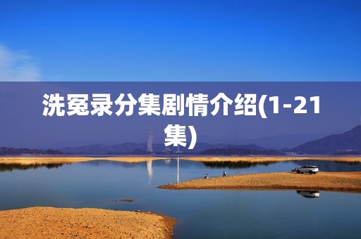 洗冤录分集剧情介绍(1-21集)