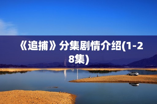 《追捕》分集剧情介绍(1-28集)