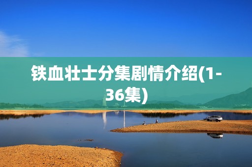 铁血壮士分集剧情介绍(1-36集)