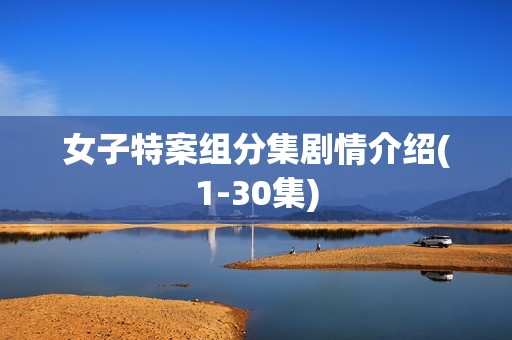 女子特案组分集剧情介绍(1-30集)