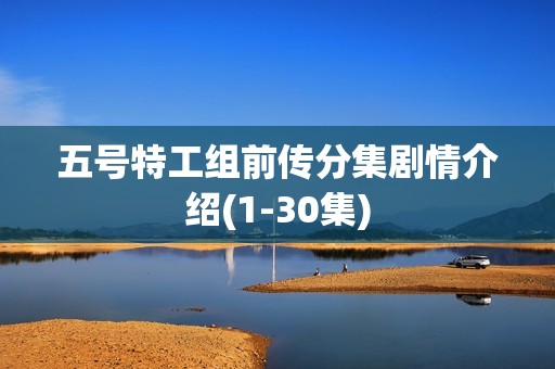 五号特工组前传分集剧情介绍(1-30集)