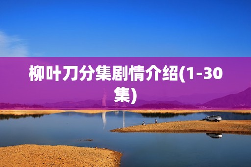 柳叶刀分集剧情介绍(1-30集)