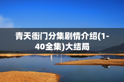 青天衙门分集剧情介绍(1-40全集)大结局