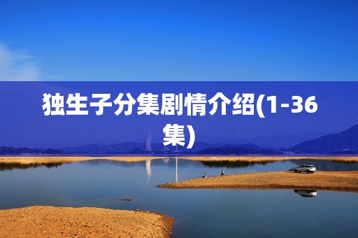 独生子分集剧情介绍(1-36集)