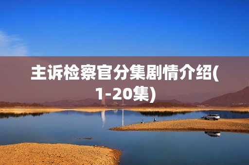 主诉检察官分集剧情介绍(1-20集)