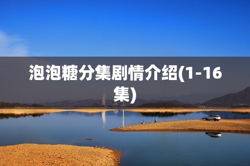 泡泡糖分集剧情介绍(1-16集)