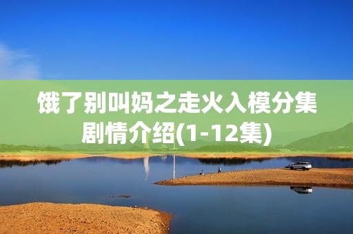饿了别叫妈之走火入模分集剧情介绍(1-12集)