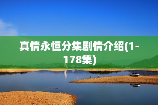 真情永恒分集剧情介绍(1-178集)