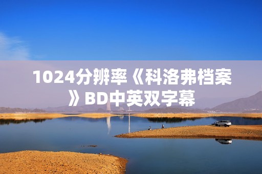 1024分辨率《科洛弗档案》BD中英双字幕