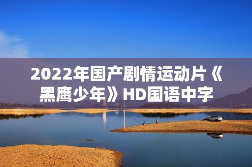 2022年国产剧情运动片《黑鹰少年》HD国语中字