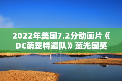 2022年美国7.2分动画片《DC萌宠特遣队》蓝光国英双语双字