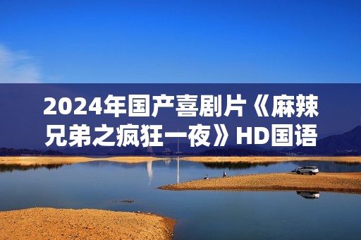 2024年国产喜剧片《麻辣兄弟之疯狂一夜》HD国语中字