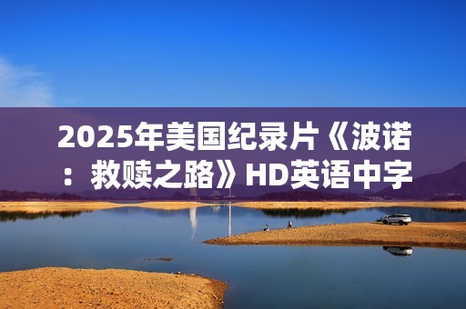 2025年美国纪录片《波诺：救赎之路》HD英语中字