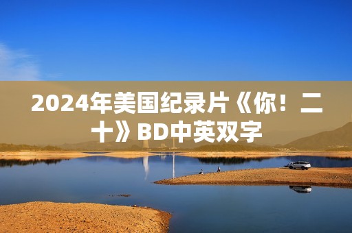 2024年美国纪录片《你！二十》BD中英双字