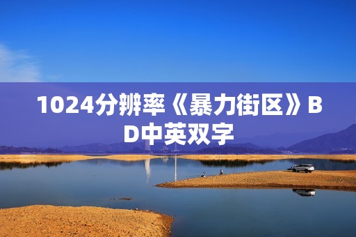 1024分辨率《暴力街区》BD中英双字