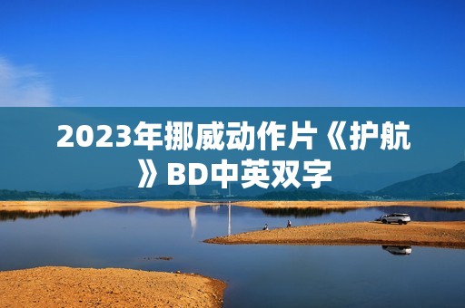 2023年挪威动作片《护航》BD中英双字
