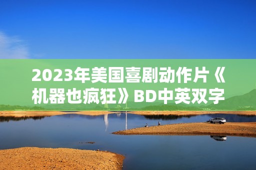 2023年美国喜剧动作片《机器也疯狂》BD中英双字