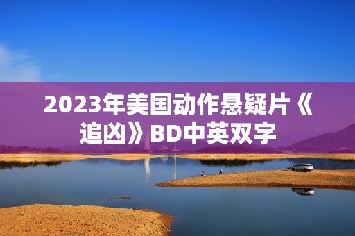 2023年美国动作悬疑片《追凶》BD中英双字