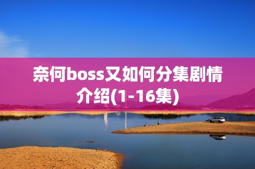 奈何boss又如何分集剧情介绍(1-16集)