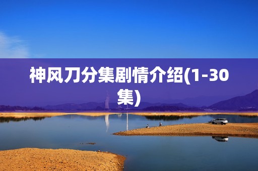 神风刀分集剧情介绍(1-30集)