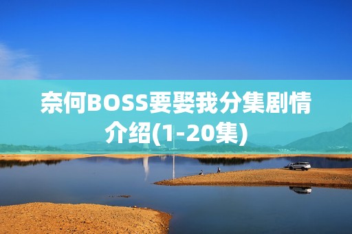 奈何BOSS要娶我分集剧情介绍(1-20集)