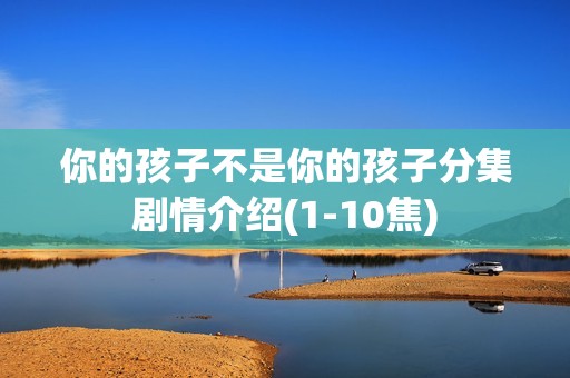 你的孩子不是你的孩子分集剧情介绍(1-10焦)