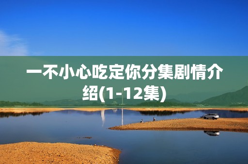 一不小心吃定你分集剧情介绍(1-12集)