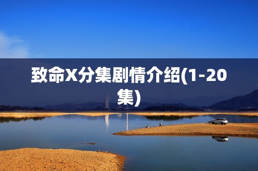 致命X分集剧情介绍(1-20集)