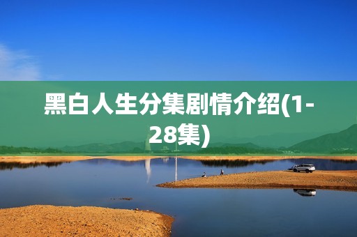 黑白人生分集剧情介绍(1-28集)