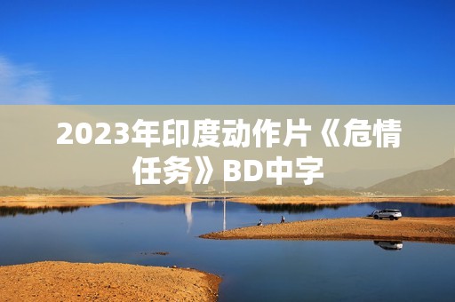 2023年印度动作片《危情任务》BD中字