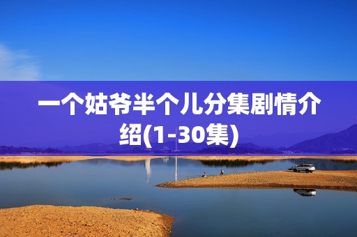 一个姑爷半个儿分集剧情介绍(1-30集)