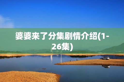 婆婆来了分集剧情介绍(1-26集)