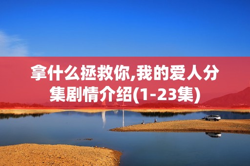 拿什么拯救你,我的爱人分集剧情介绍(1-23集)