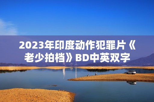 2023年印度动作犯罪片《老少拍档》BD中英双字