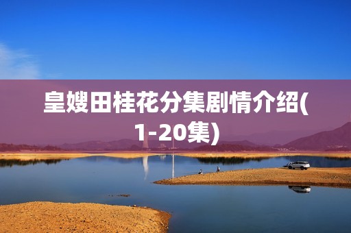 皇嫂田桂花分集剧情介绍(1-20集)