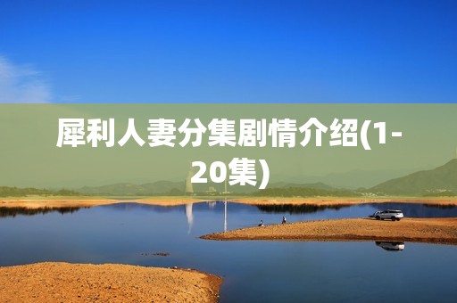 犀利人妻分集剧情介绍(1-20集)