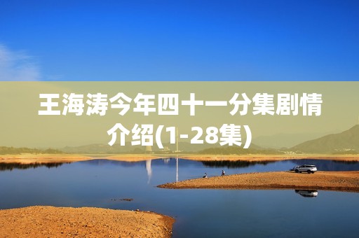 王海涛今年四十一分集剧情介绍(1-28集)