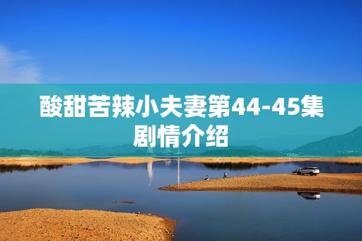 酸甜苦辣小夫妻第44-45集剧情介绍
