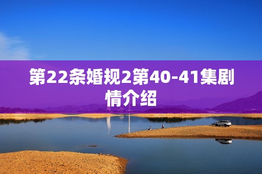 第22条婚规2第40-41集剧情介绍