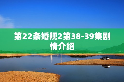 第22条婚规2第38-39集剧情介绍