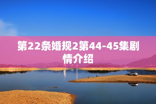 第22条婚规2第44-45集剧情介绍