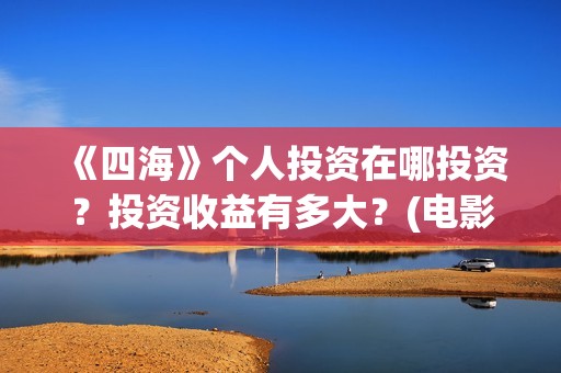 《四海》个人投资在哪投资？投资收益有多大？(电影《四海》)