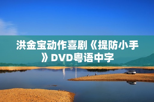 洪金宝动作喜剧《提防小手》DVD粤语中字