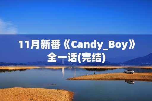11月新番《Candy_Boy》全一话(完结)